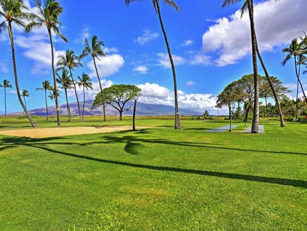 Kihei Condo 990659