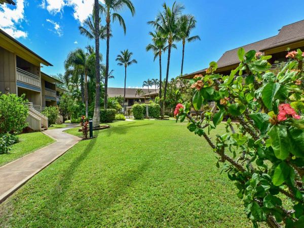 Kihei Condo 990660