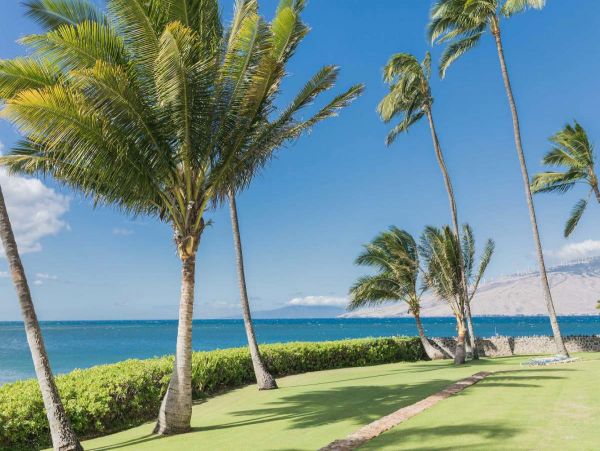 Kihei Condo 990664