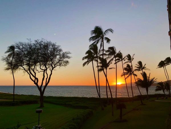 Kihei Condo 990664