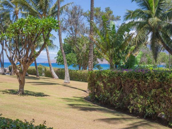 Kihei Condo 990668