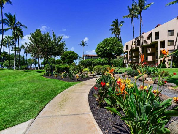 Kihei Condo 990672