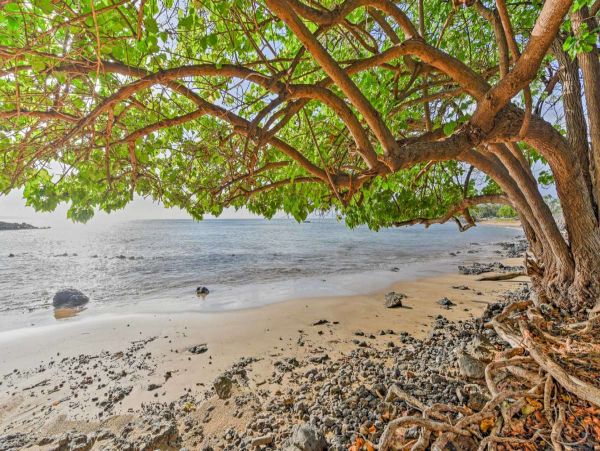 Kihei Condo 990677