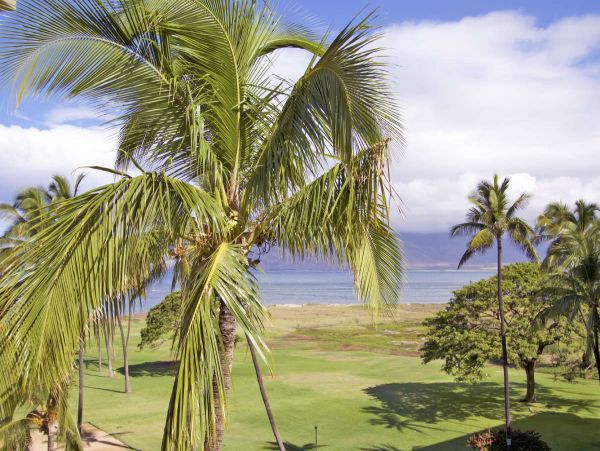 Kihei Condo 990679