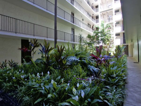 Kihei Condo 990679