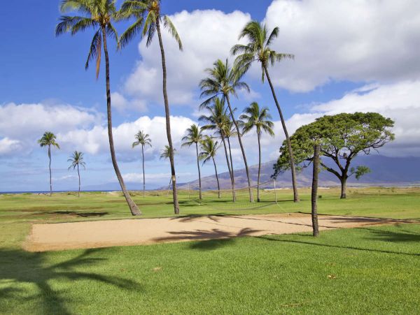 Kihei Condo 990679
