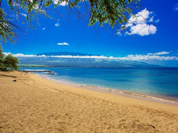 Kihei Condo 990681