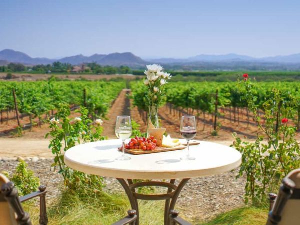 Temecula Luxury Estate with Private Pool Sleeps 24 Guests