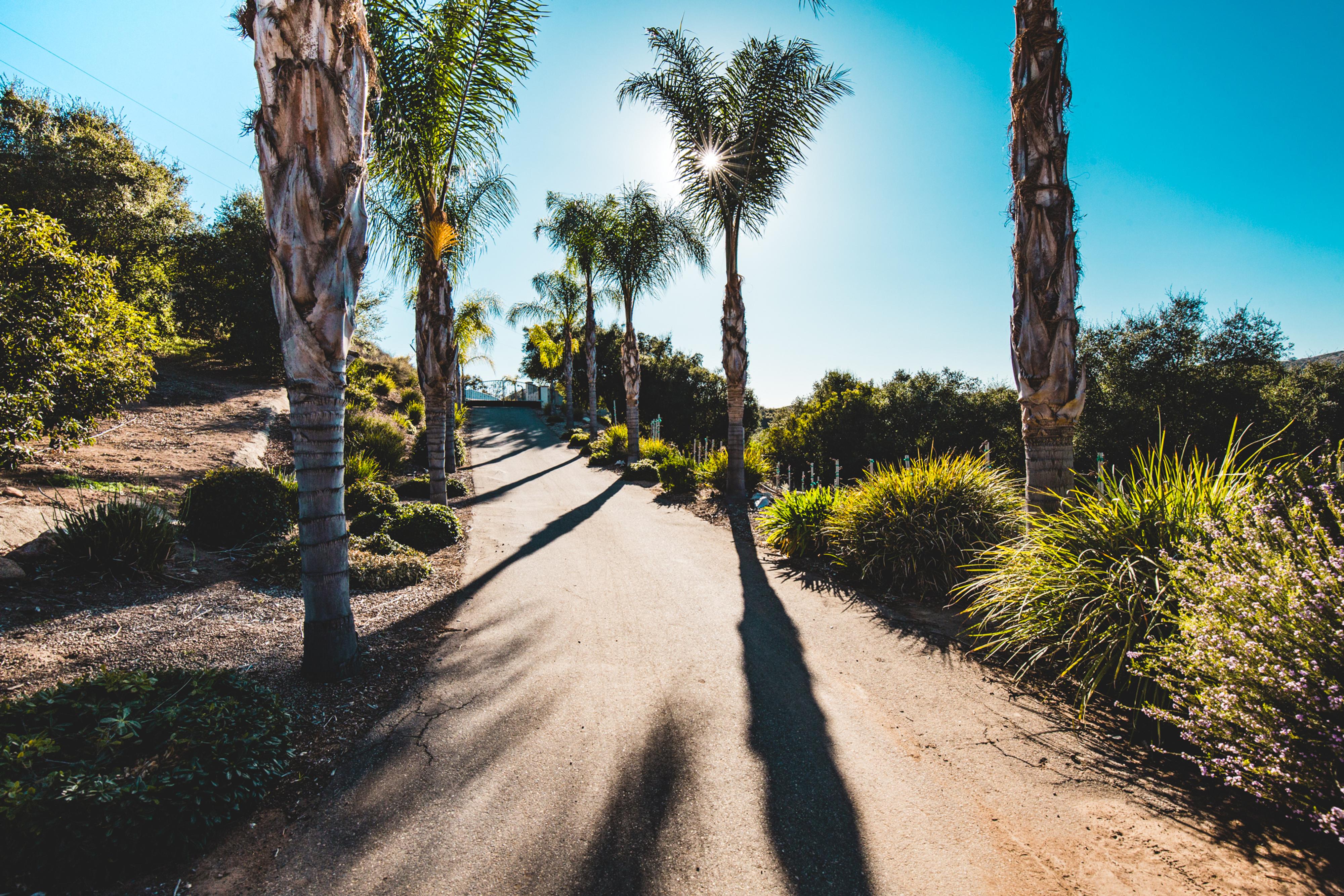 San Diego Beach Communities North Home 990815