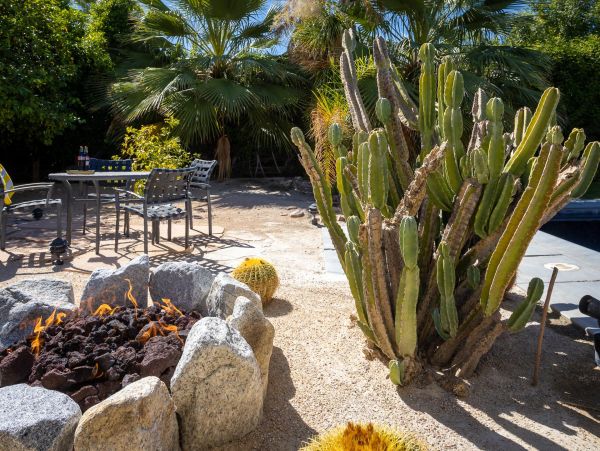 Palm Springs Home 990846