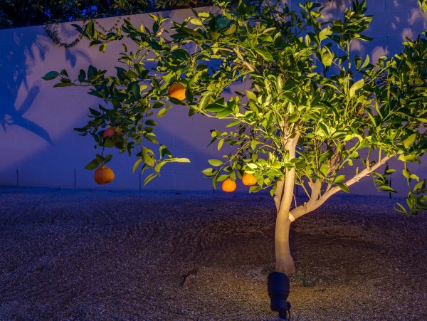 Palm Springs Home 990862