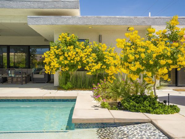 Palm Springs Home 990867