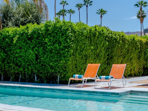 Palm Springs Home 990873