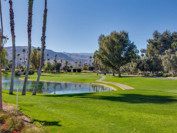 Palm Springs Home 990878
