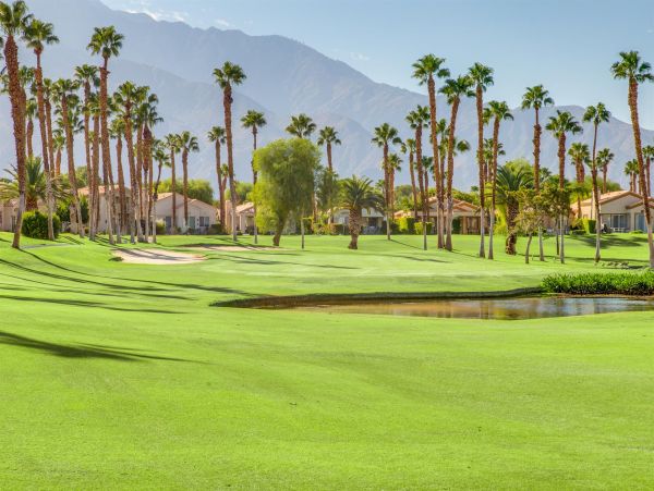 Palm Springs Home 990880