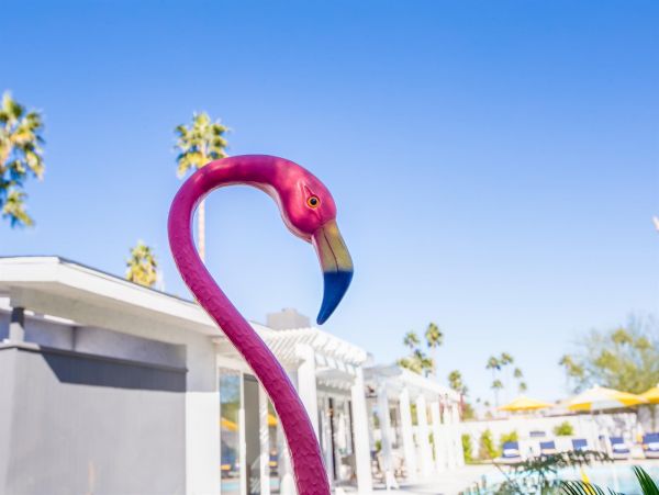 Palm Springs Home 990891