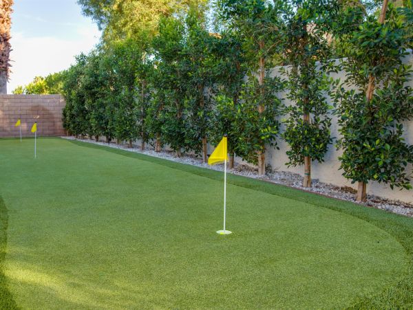 Palm Springs Home 990903