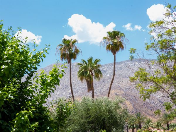 Palm Springs Home 990905