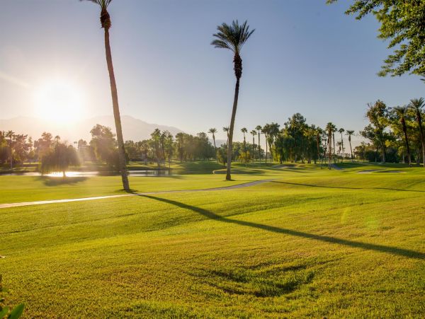 Palm Springs Home 990973