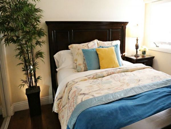 Anaheim Home 990999