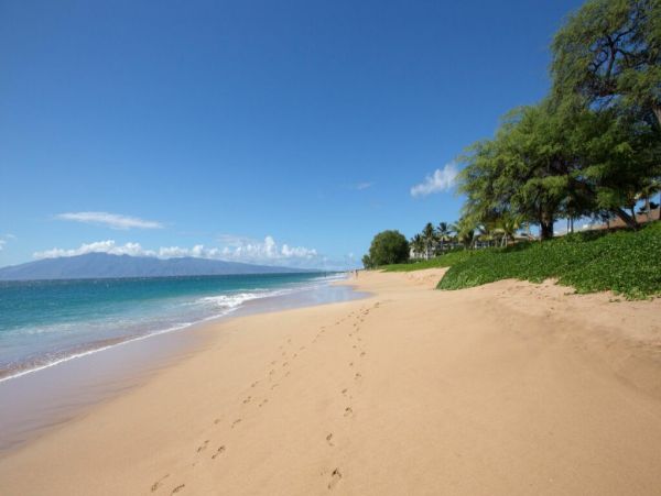Oceanview Luxury Four Bedroom Vacation Home in Kaanapali