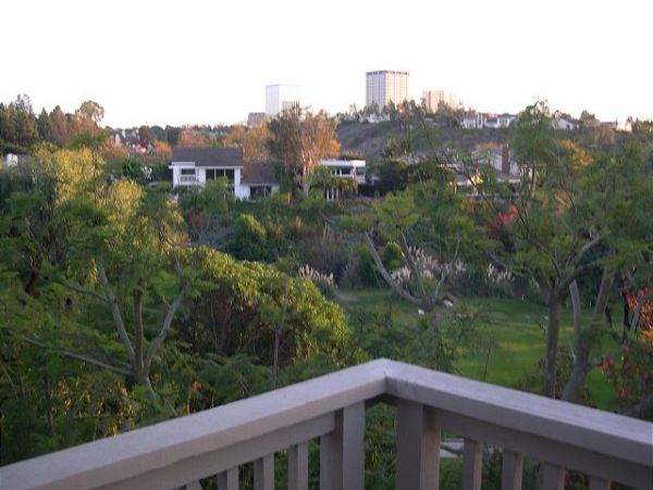 Newport Beach Home 991045