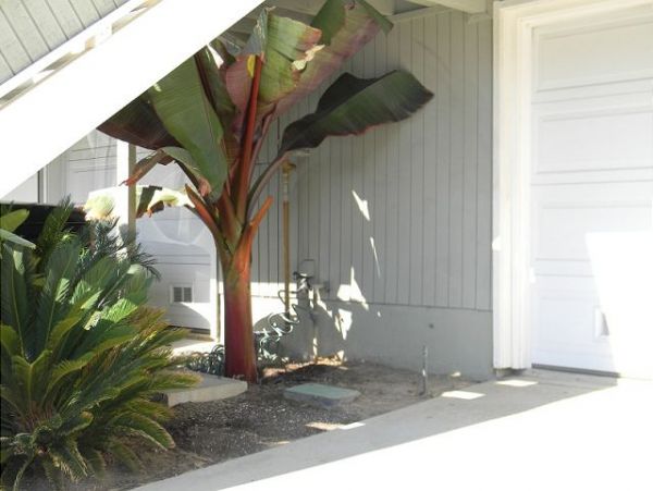 Newport Beach Home 991092