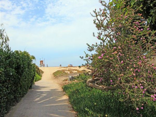 Newport Beach Home 991124