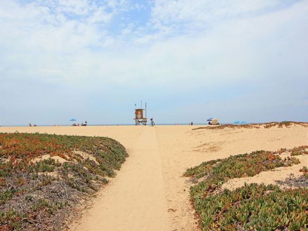 Newport Beach Home 991124