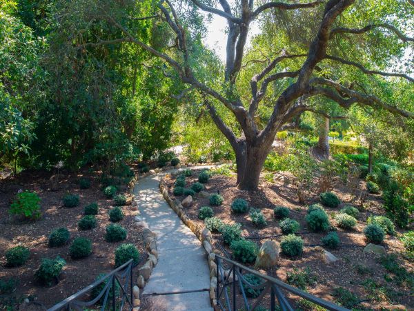 Santa Barbara County Home 991142