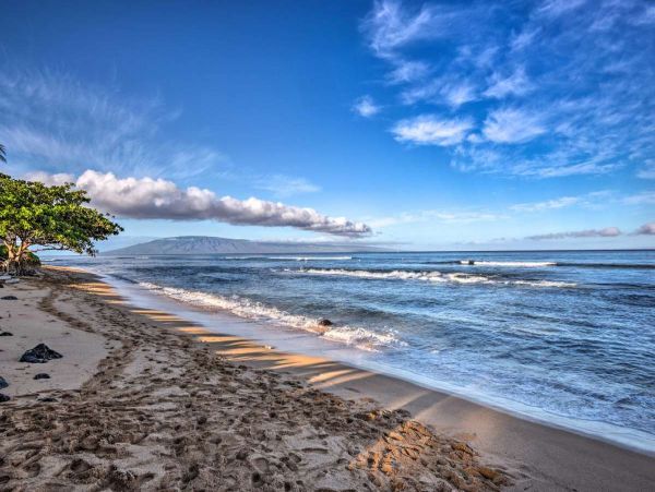 Lahaina Condo 991162