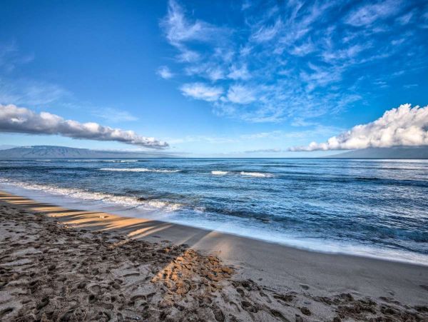 Lahaina Condo 991162