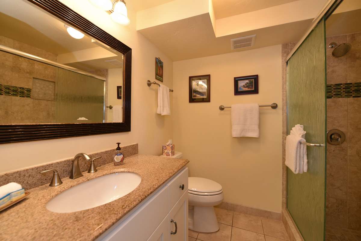 Lahaina Condo 991170