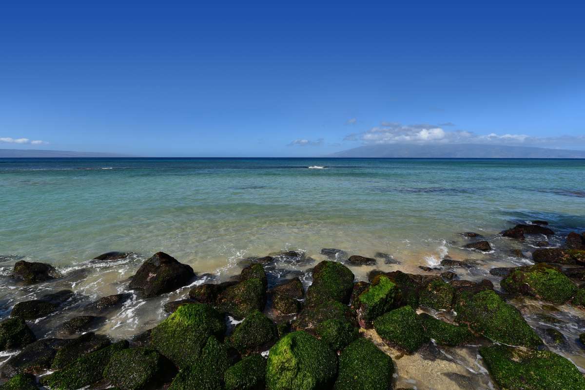 Lahaina Condo 991170