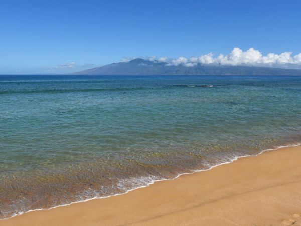 Lahaina Condo 991170