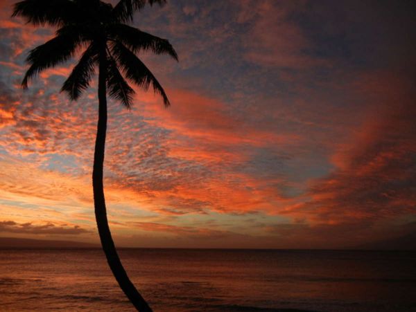 Lahaina Condo 991170