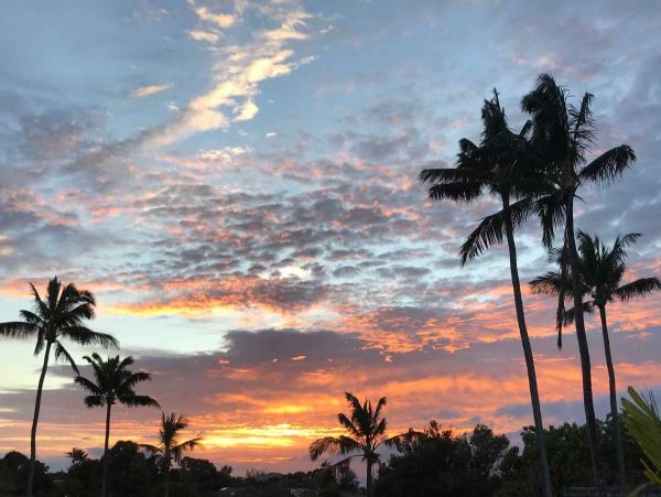 Lahaina Condo 991172