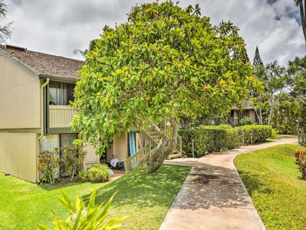 Northshore Oahu Condo 991259