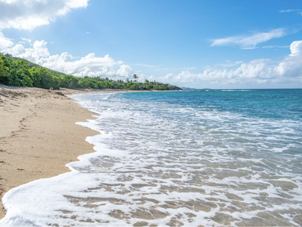 Seafront Three Bedroom Pool Home in St. Croix