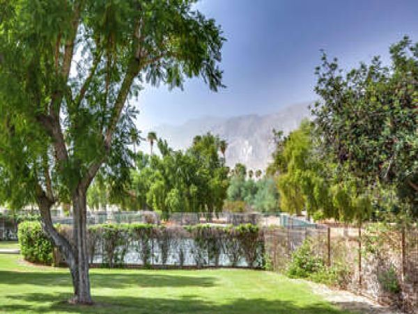 Palm Springs Condo 991411