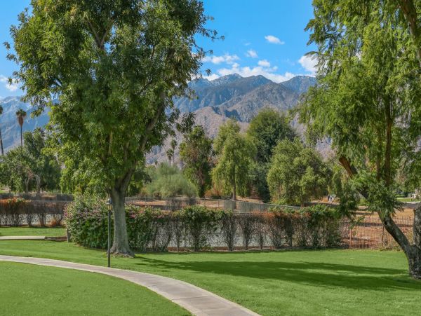 Palm Springs Condo 991412