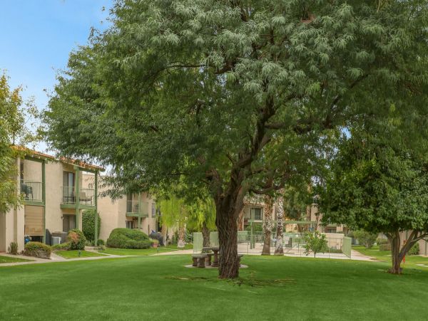 Palm Springs Condo 991419