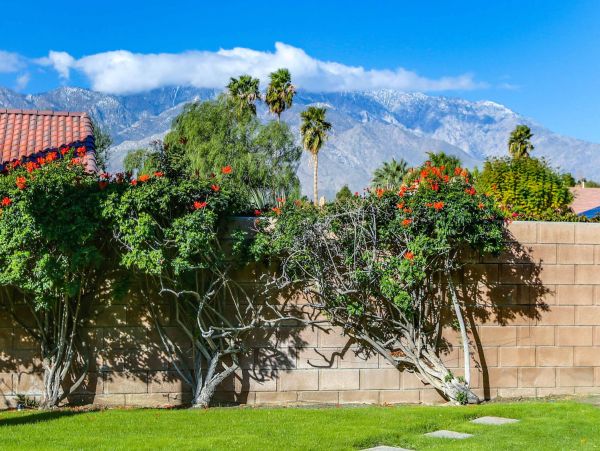 Palm Springs Home 991422