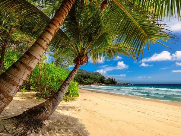 On Beach Kihei Vacation Home Two Bedroom