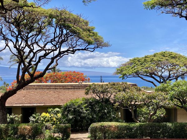 Ocean View Maui Vacation Rental 3-Bedroom Condo Near Kaanapali Beach