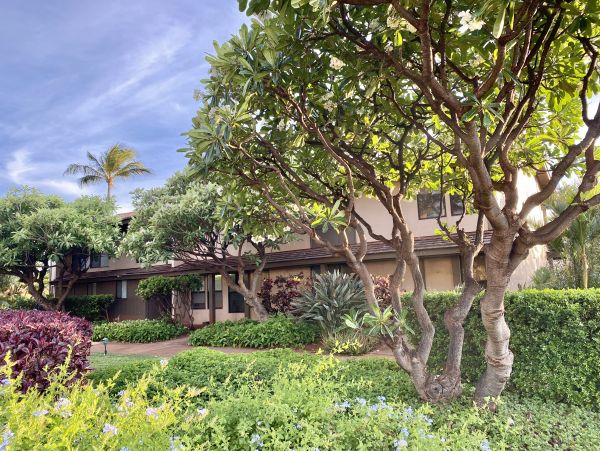 Ocean View Maui Vacation Rental 3-Bedroom Condo Near Kaanapali Beach