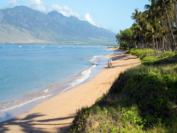 Kihei Maui Vacation Condo Beach Pool 2 Bedrooms