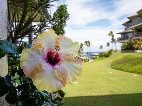 Kapalua Vacation Villa With Pool & Tennis Court 4 Guests