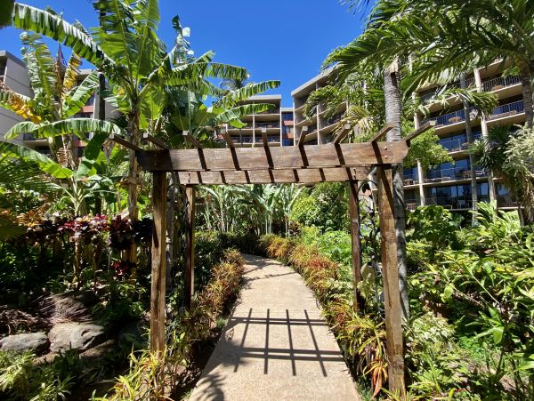 Kaanapali Vacation Condo With Communal Pool Sleeps 6 Guests