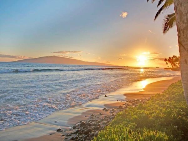 Maui Oceanfront Four Bedroom Rental Townhome